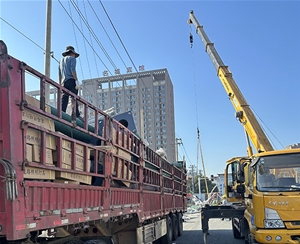 道路標(biāo)識(shí)牌 (16)