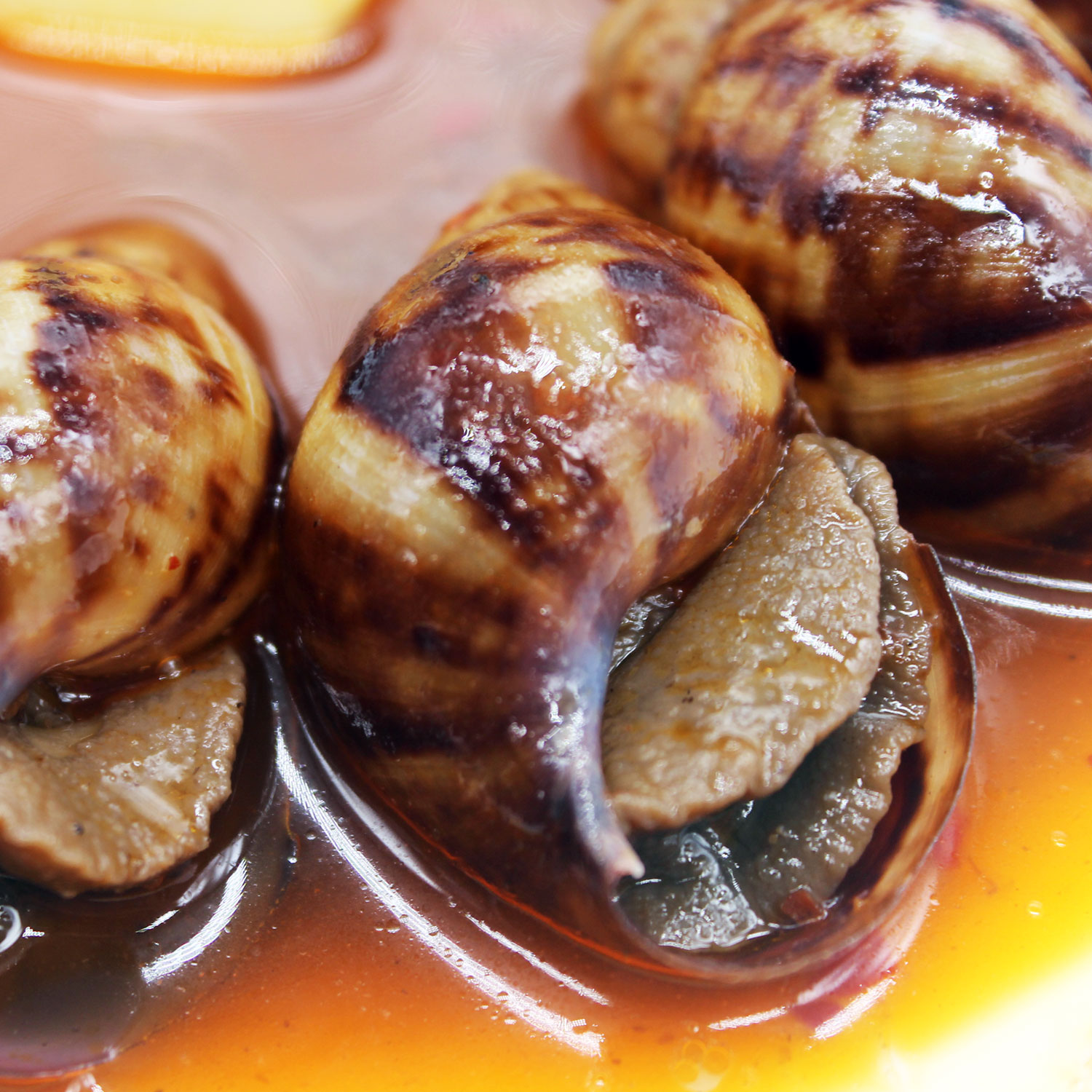 法式香辣焗蝸牛